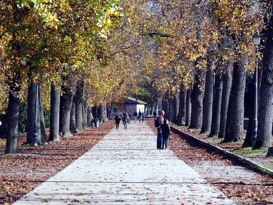 Lucca bymur
